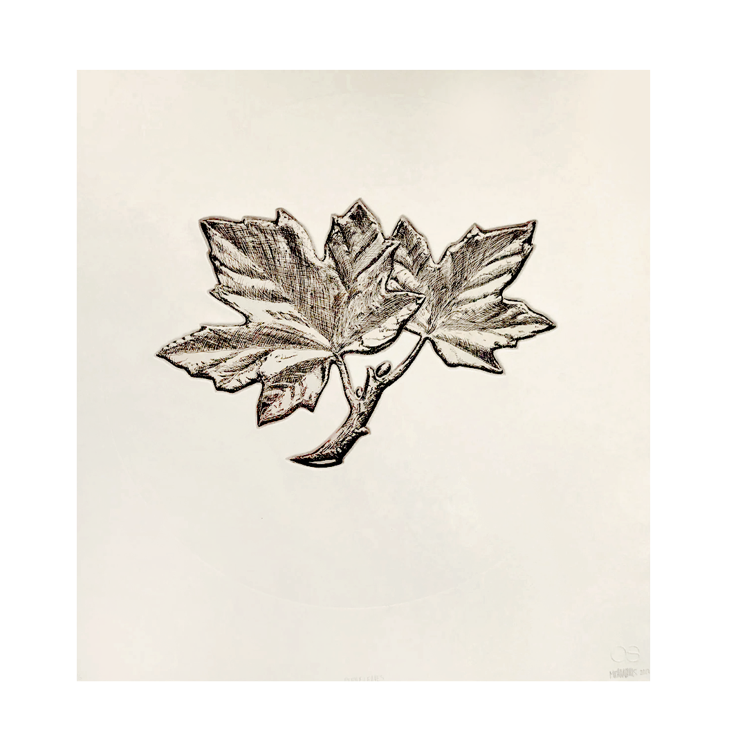 Micah Adams, Penny Leaves