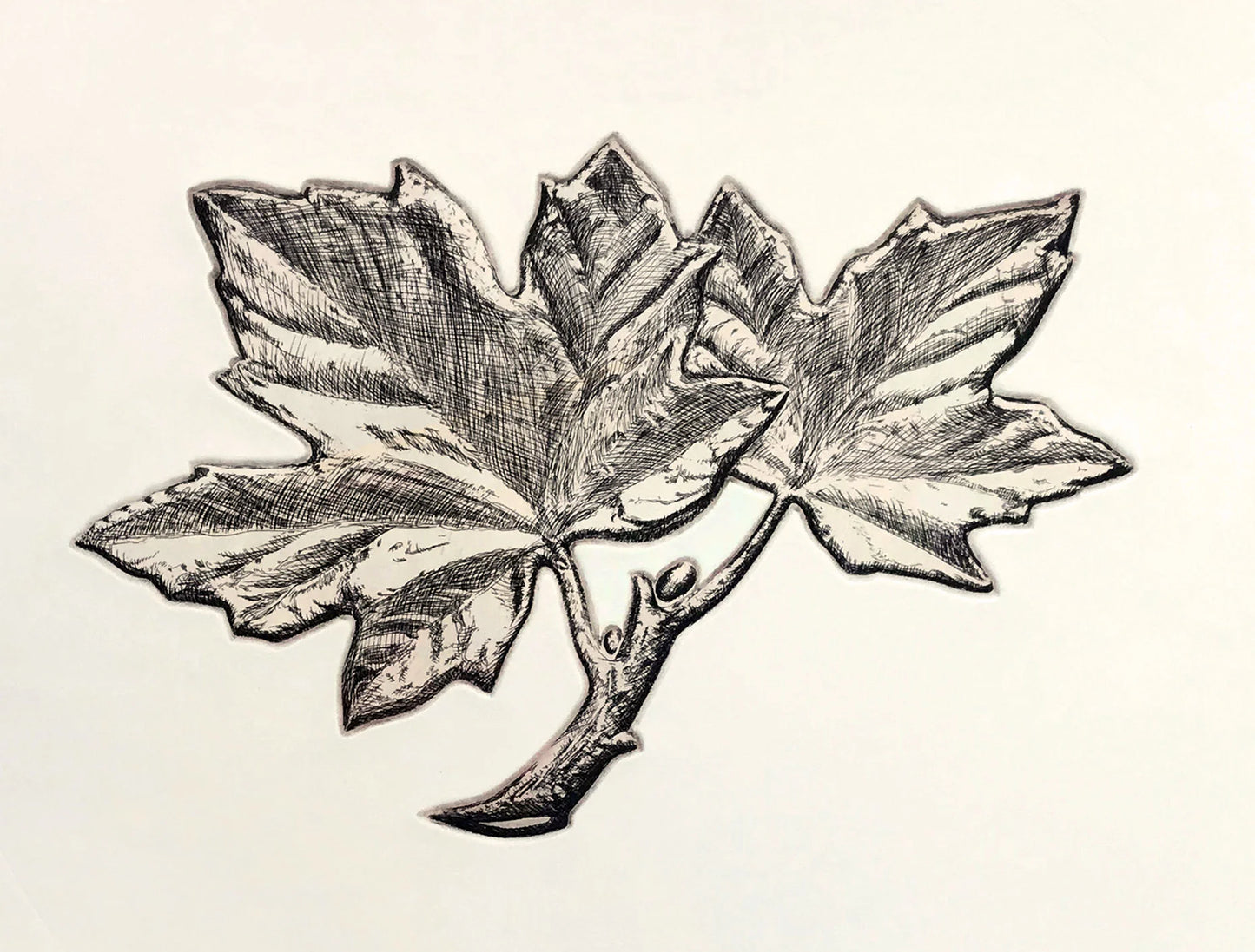 Micah Adams - Penny Leaves