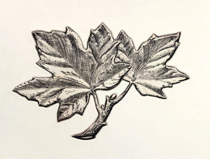 Micah Adams - Penny Leaves