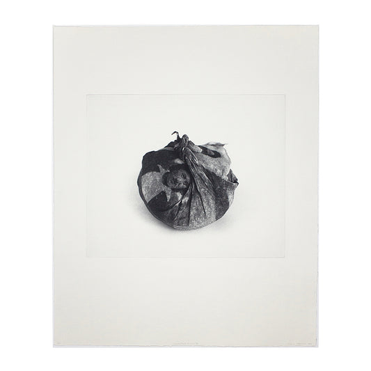 FUTURE PROOF 2025, Emma Nishimura, Generational Echoes IV