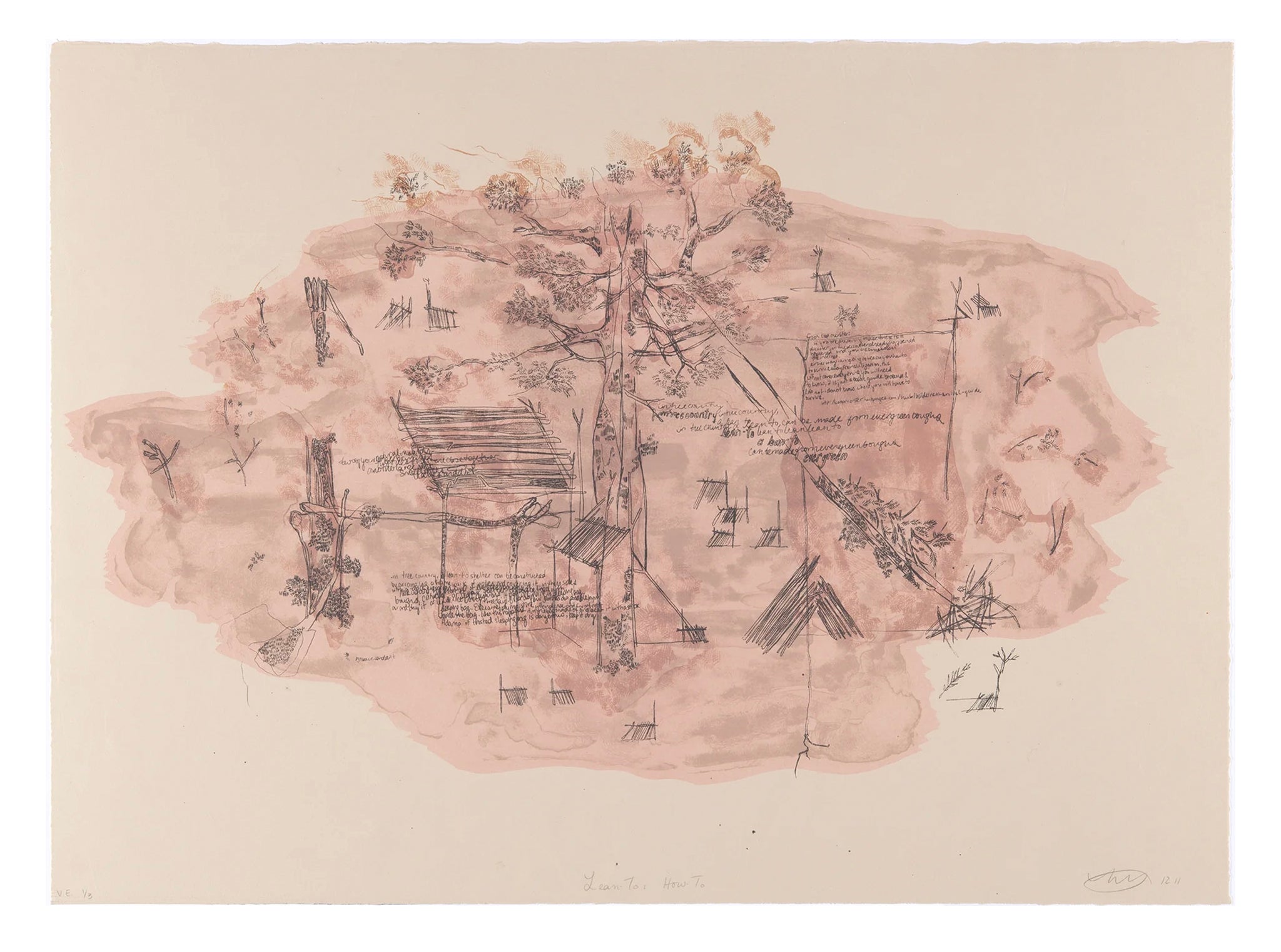 Noelle Wharton-Ayer, Lean To: How To, 2011, lithograph, edition: 1/3 V/E (Varied Edition), paper size: 16.25