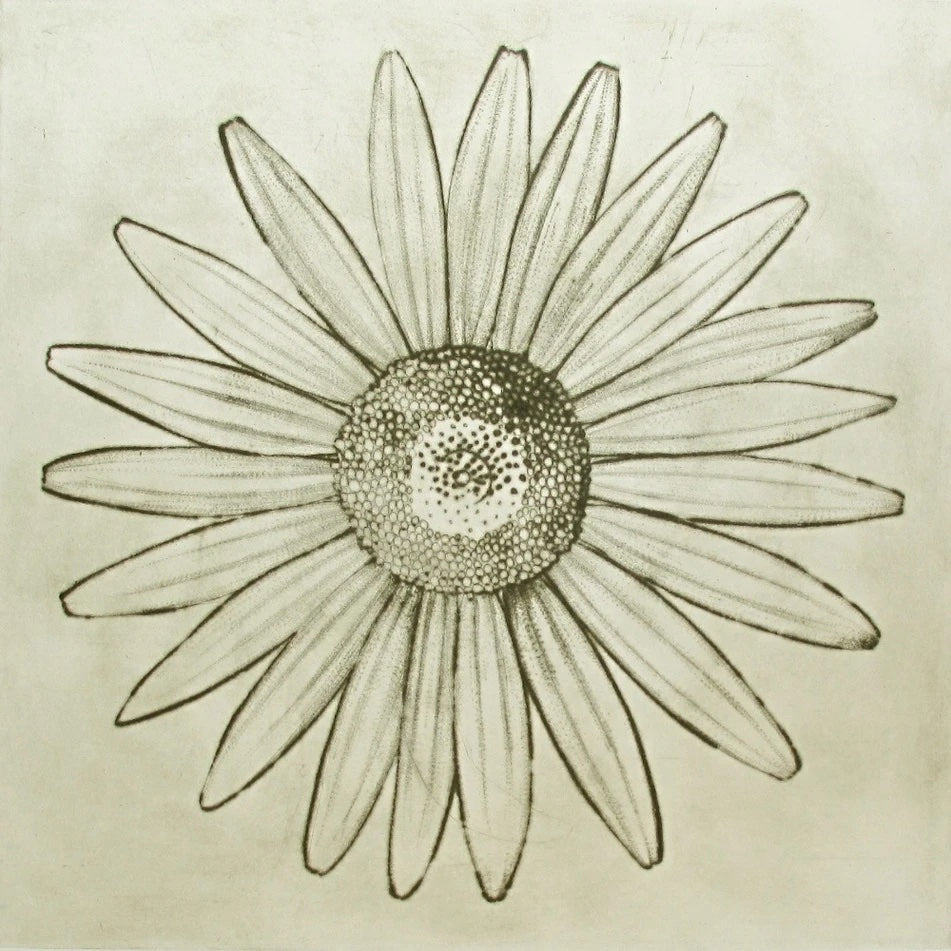 Liz Parkinson - Oxeye Daisy