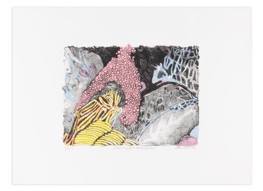 Pat Durr, Dreaming of a Coral Garden, 2018, lithograph, edition: F/P 2 (Fundraising Proof), paper size: 15" x 20"