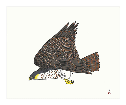 Pauojoungie Saggiak, Peregrine Falcon, 2019, stonecut, paper size: 18" x 22"