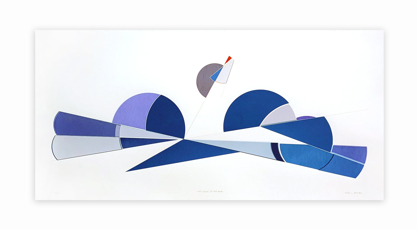Walter Procska, The Jewel in the Robe, 2026, screenprint, edition: 3/10, paper size: 19.5" x 40"