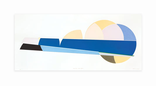 Walter Procska, General Stone Tiger, 2026, screenprint, edition of 10, 18.5" x 40"