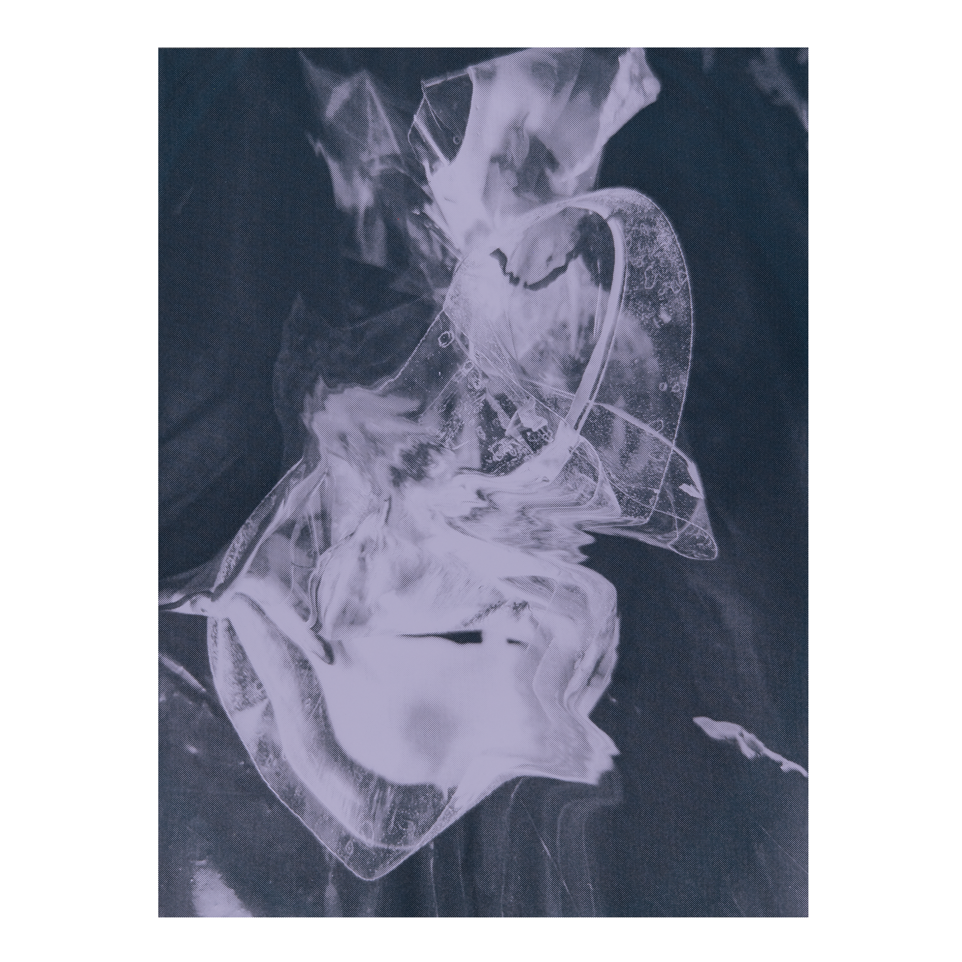 Rachael Dodgson, trash tape II in lavender, 2024, screenprint, edition: 1/2, paper size: 24" x 18"