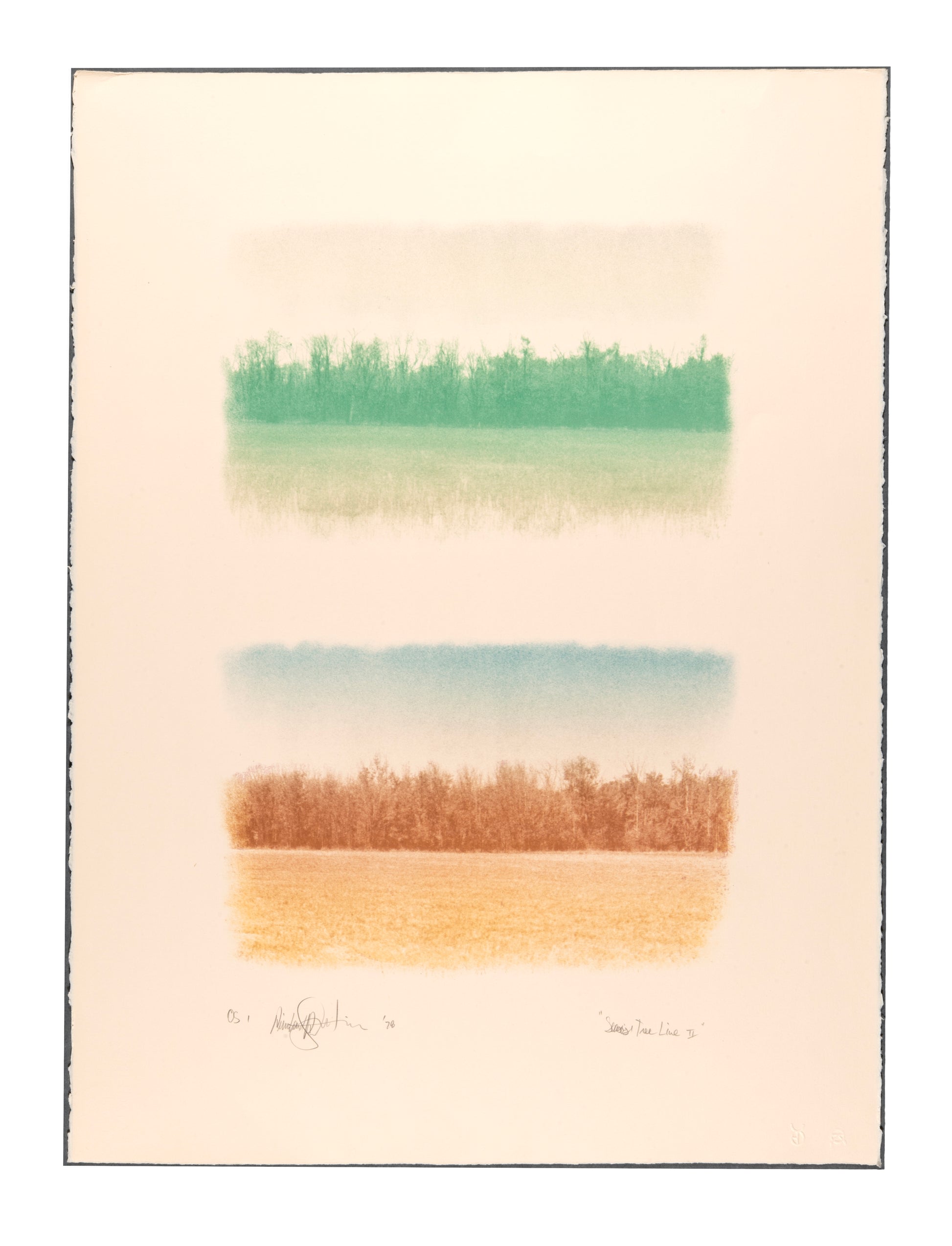Reinhard Reitzenstein, Season's Tree Line II, 1978, lithograph, edition: OS 1 (Open Studio), size: 30" x 22.25"