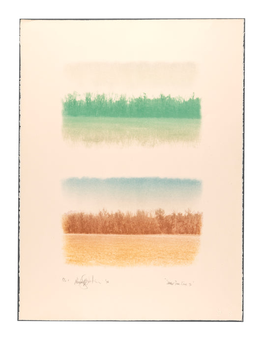 Reinhard Reitzenstein, Season's Tree Line II, 1978, lithograph, edition: OS 1 (Open Studio), size: 30" x 22.25"