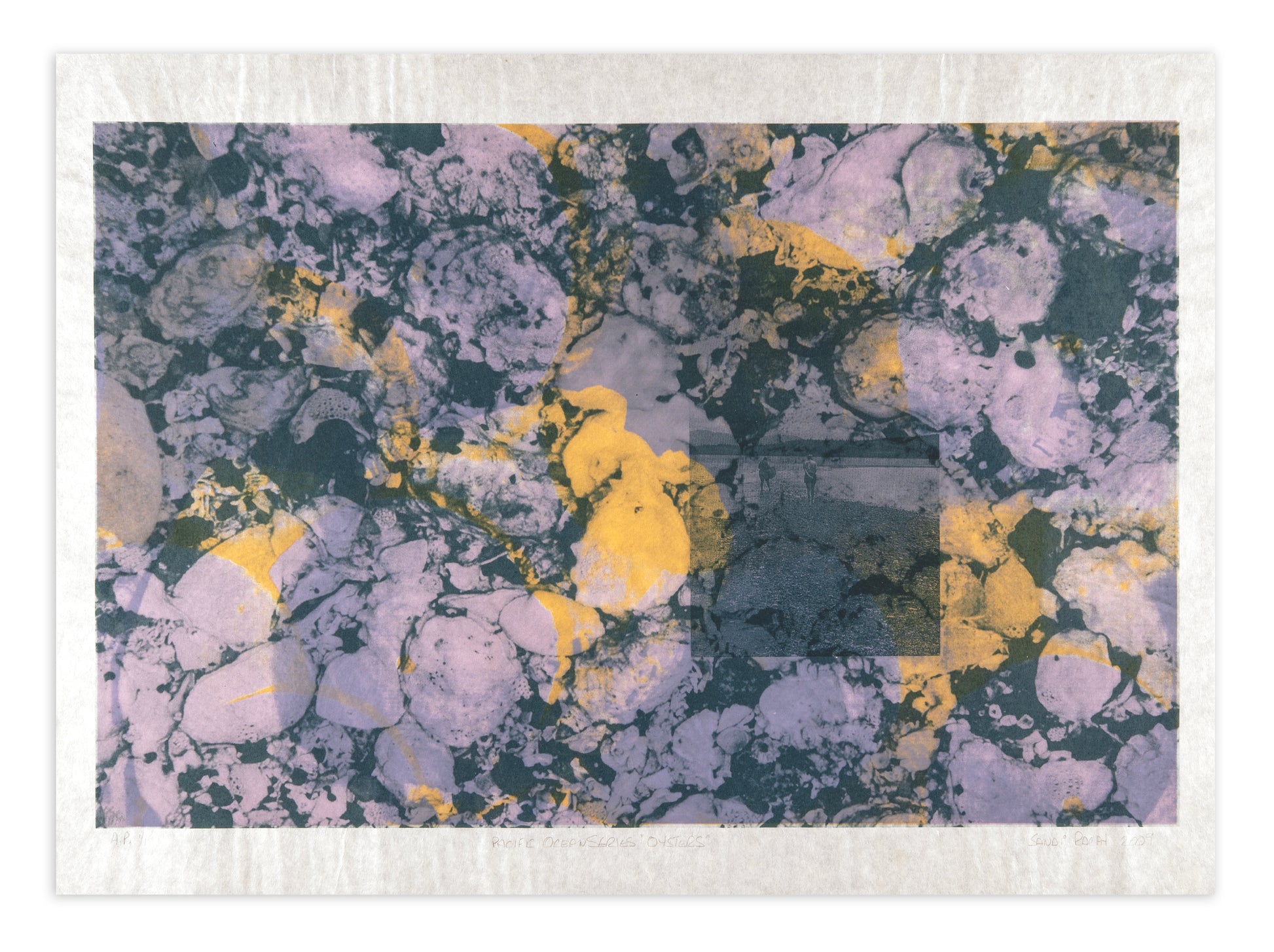 Sandi Ralph, Pacific Ocean Series (Oysters), 2009, screenprint, edition: A/P (Artist Print) 1/1, paper size: 22" x 30"