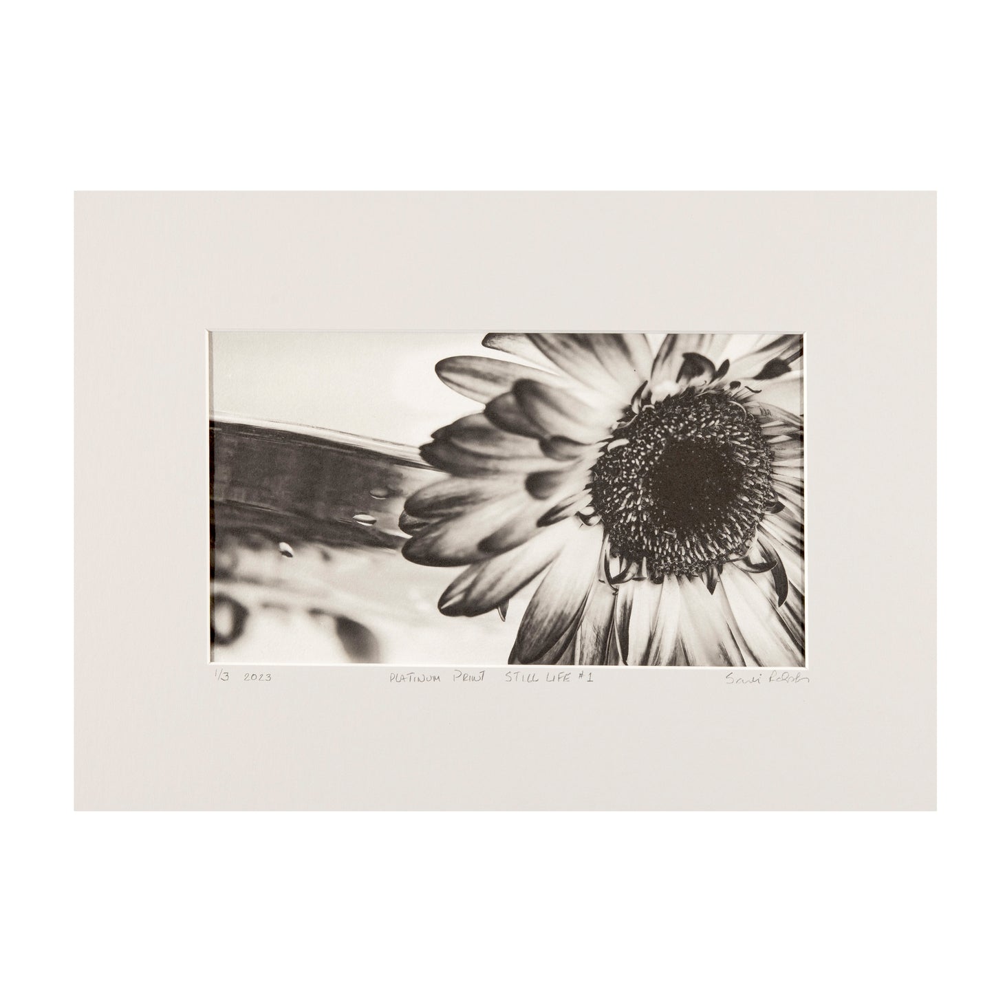 FUTURE PROOF 2025, Sandi Ralph, Still Life #1