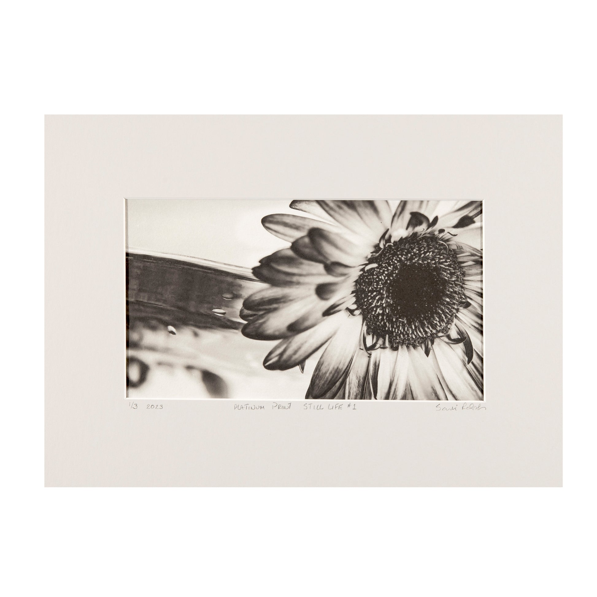 FUTURE PROOF 2025, Sandi Ralph, Still Life #1