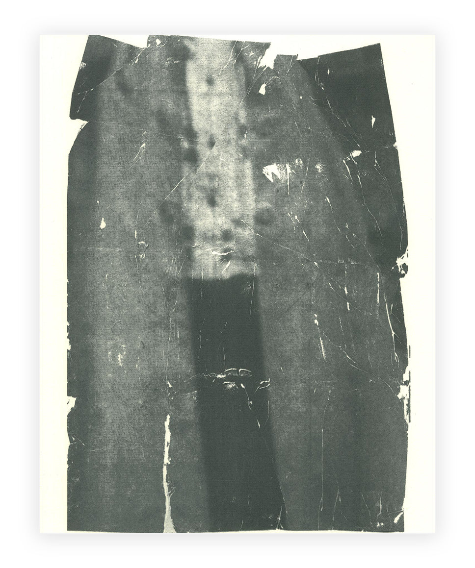 Sandra Brewster, A Detail of Feeding Trafalgar, 2022, screenprint, Edition of 36, paper size: 10" x 8"