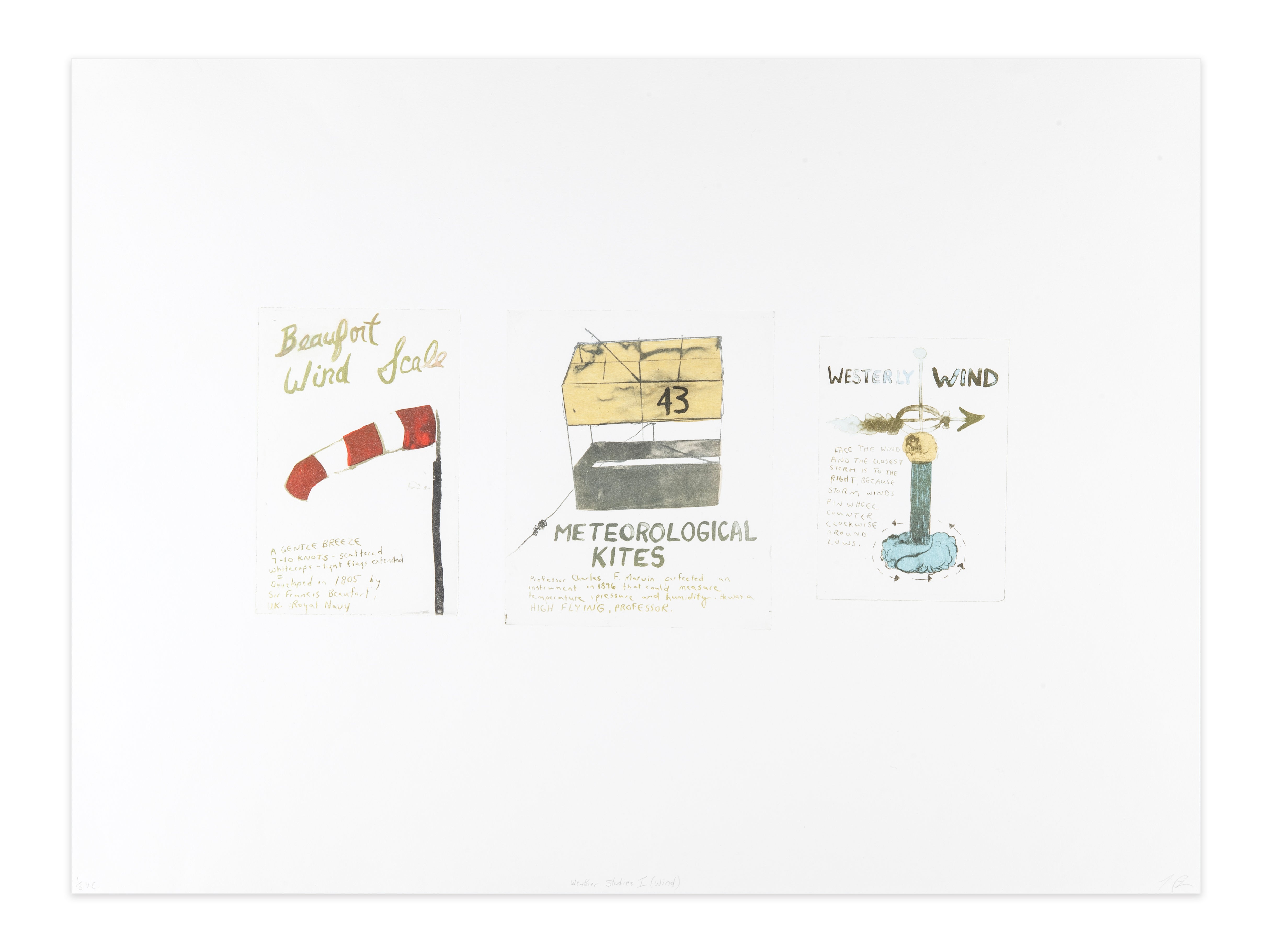 Tara Cooper, Weather Studies I (Wind), 2013, photo-polymer etching, edition: F/P (Fundraising Proof) 1/6 VE, paper size: 22