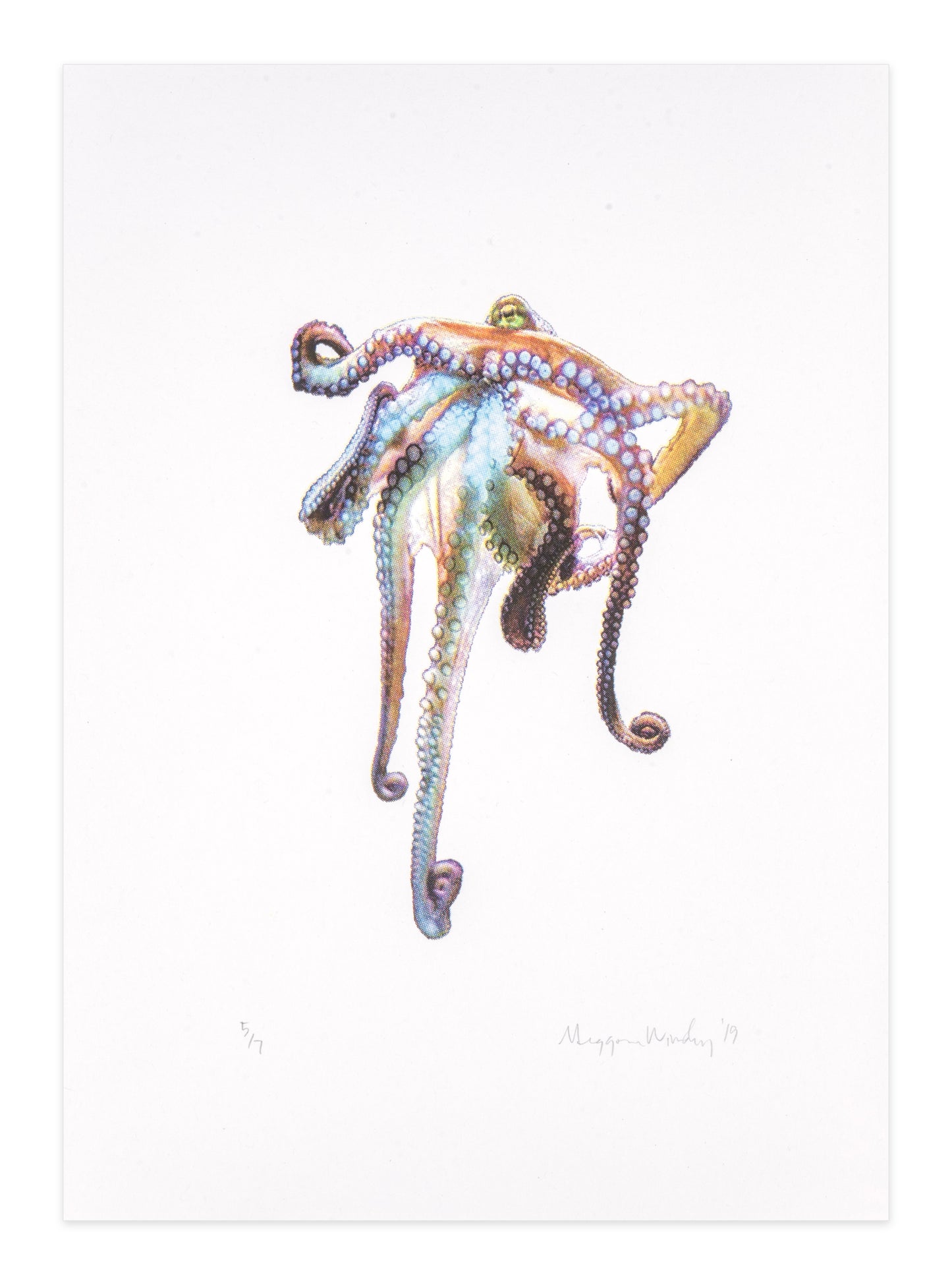 Meggan Winsley, Untitled (Colourful Octopus), 2019, screenprint, edition: 5/7, paper size: 14" x 10"