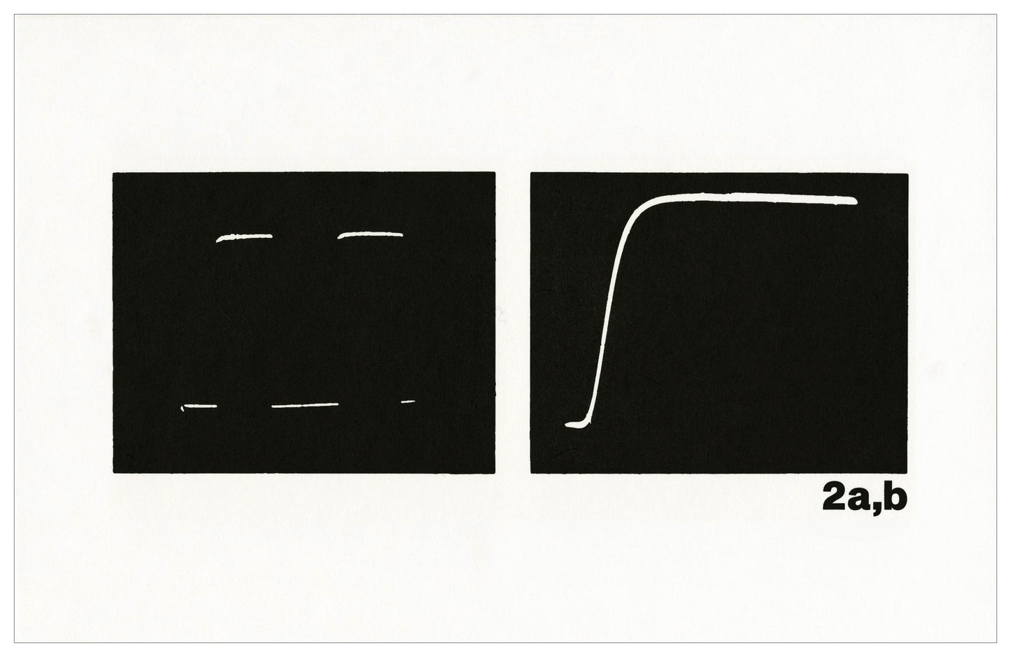 Micah Lexier - The Oscilloscope Drawings (2a,b)