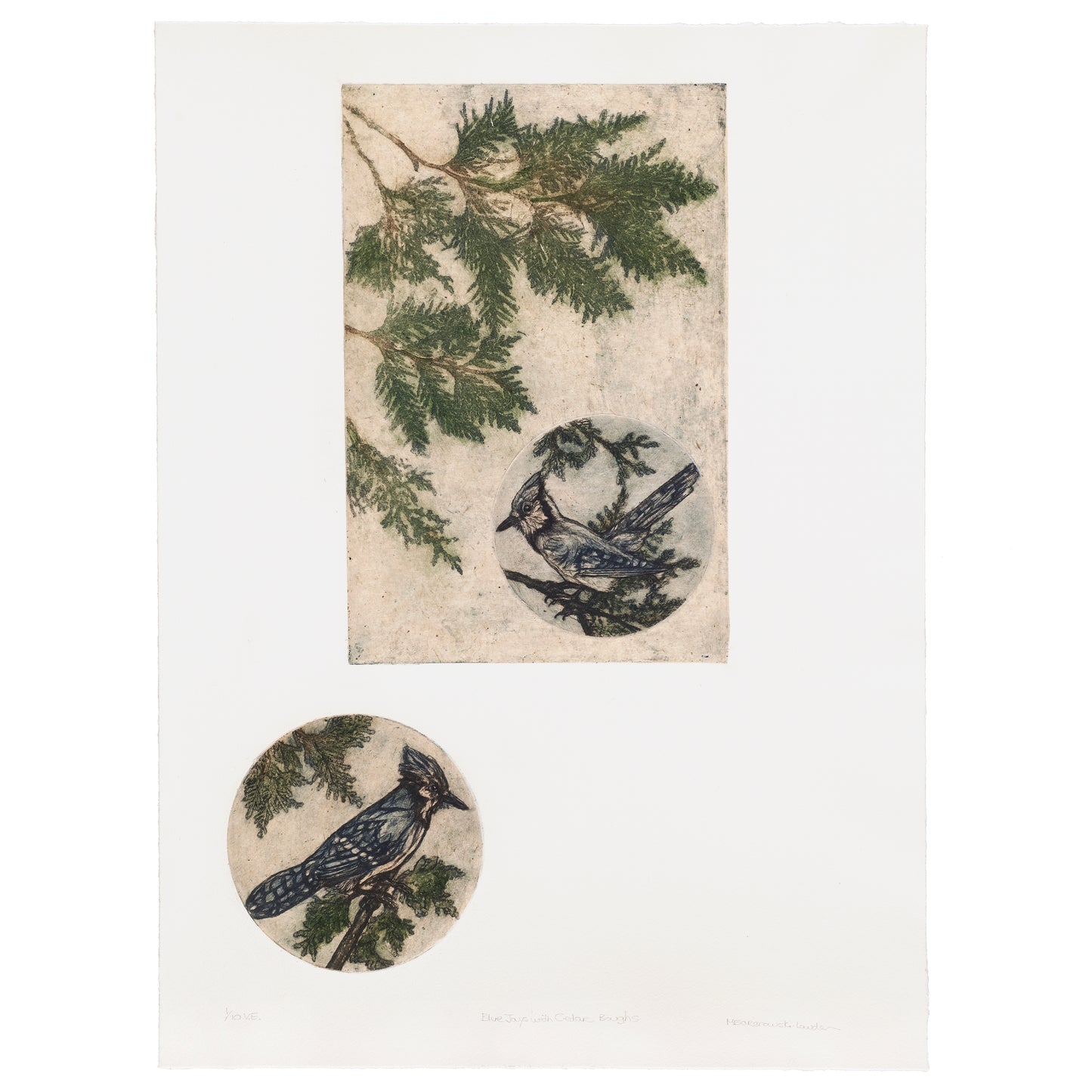 FUTURE PROOF 2023 Lot 5: Mary Baranowski-Lowden - Blue Jays with Cedar Boughs