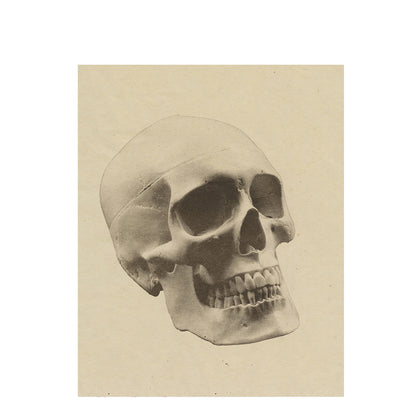 Jenn Law - Still (heirloom series, skull)