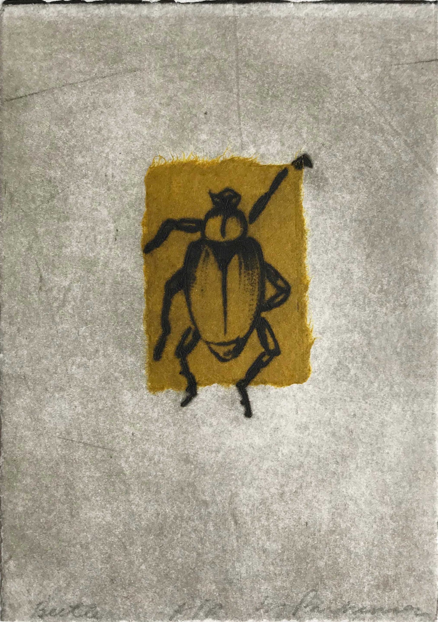 Liz Parkinson - Beetle