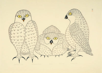Kananginak Pootoogook - Conference of Owls
