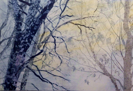 Rebecca Cowan - February Forest