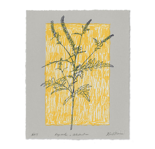 FUTURE PROOF Lot 80: Derek Sullivan, Ragweed + Abstraction, Screenprint and letterpress, 2019, Edition: 24/28