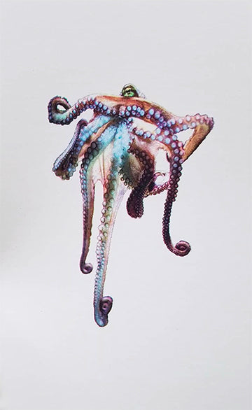Meggan Winsley - Untitled (Colourful  Octopus)